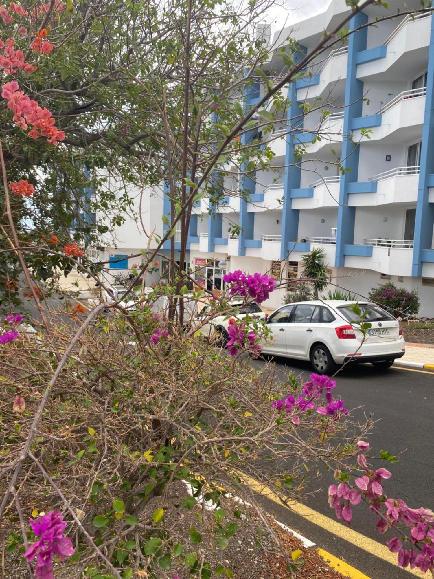 Sissy Tenerife Apartman سان ميغيل ذي أبونا المظهر الخارجي الصورة
