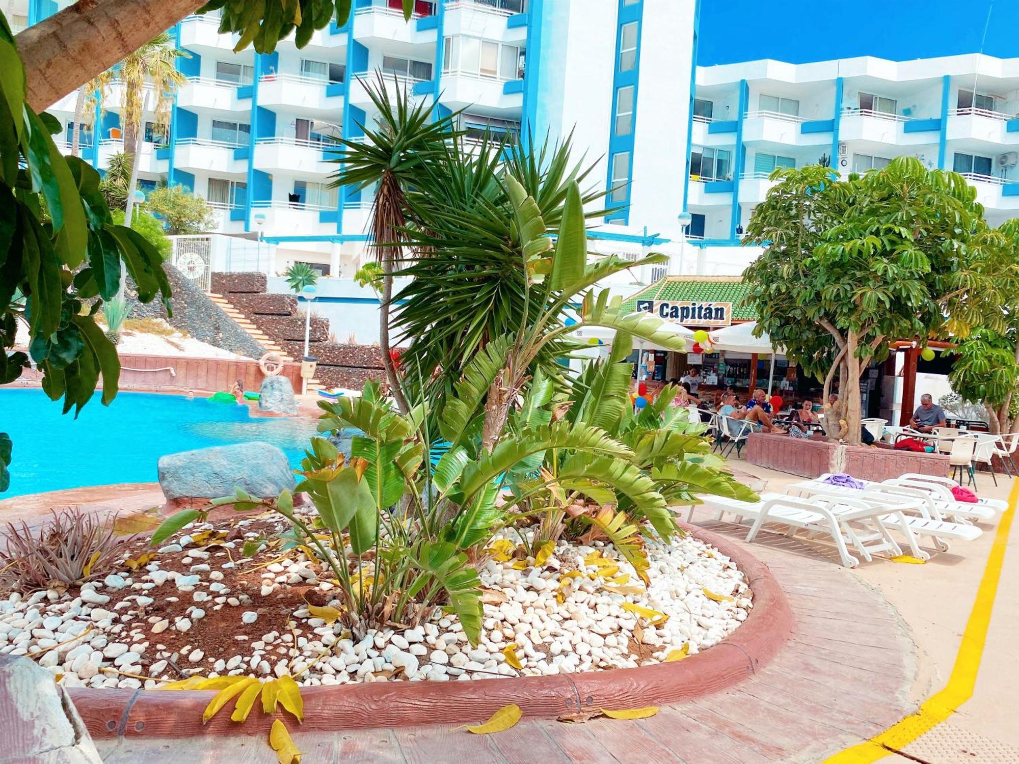 Sissy Tenerife Apartman سان ميغيل ذي أبونا المظهر الخارجي الصورة